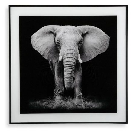 Kép Versa (2 x 50 x 50 cm) MOST 17626 HELYETT 10550 Ft-ért!