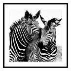   Kép Zebra Kristály (2 x 50 x 50 cm) MOST 18493 HELYETT 11120 Ft-ért!