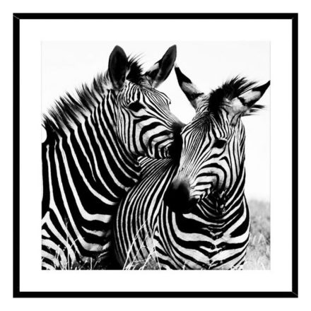 Kép Zebra Kristály (2 x 50 x 50 cm) MOST 18655 HELYETT 12261 Ft-ért!