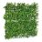 Dekor növény Ibergarden MZ188019A 50 x 5 x 50 cm MOST 10990 HELYETT 6581 Ft-ért!