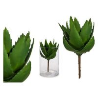   Dekor növény Aloe vera (14 x 23 x 14 cm) MOST 7634 HELYETT 2480 Ft-ért!