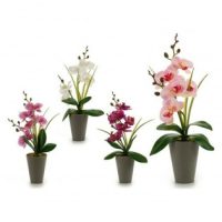   Dekor növény Orchidea Műanyag (8 x 35 x 14 cm) MOST 3473 HELYETT 1736 Ft-ért!