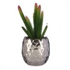   Dekor növény Ezüst színű Kaktusz Kerámia Műanyag (8 x 20 x 8 cm) MOST 8167 HELYETT 3216 Ft-ért!
