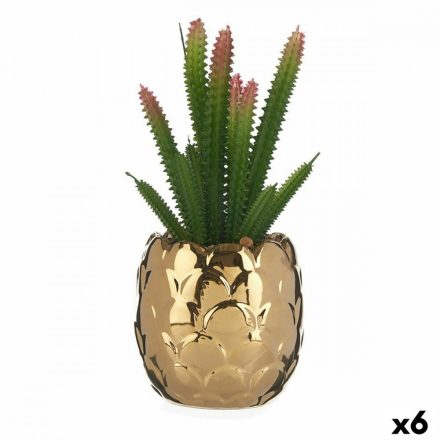 Dekor növény Ibergarden HY2-44 Kerámia Műanyag Kaktusz 10 x 20 x 10 cm Zöld Aranysàrga (6 egység) MOST 39994 HELYETT 27250 Ft-ért!