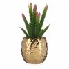 Dekor növény Kerámia Aranysàrga Kaktusz Zöld Műanyag 6 egység MOST 38710 HELYETT 26382 Ft-ért!