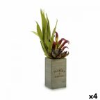   Dekor növény Flowers Garden Barna Zöld 10 x 50 x 10 cm (4 egység) MOST 31641 HELYETT 20289 Ft-ért!