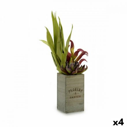 Dekor növény Flowers Garden Barna Zöld 10 x 50 x 10 cm (4 egység) MOST 31641 HELYETT 20289 Ft-ért!