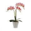 Dekor növény Orchidea Műanyag 20 x 49 x 26 cm (4 egység) MOST 39631 HELYETT 25415 Ft-ért!