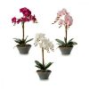 Dekor növény Orchidea 16 x 48 x 28 cm Műanyag (4 egység) MOST 39631 HELYETT 25415 Ft-ért!