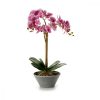 Dekor növény Orchidea 16 x 48 x 28 cm Műanyag (4 egység) MOST 39631 HELYETT 25415 Ft-ért!