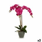   Dekor növény Orchidea Műanyag 60 x 78 x 44 cm (2 egység) MOST 41139 HELYETT 28036 Ft-ért!