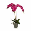 Dekor növény Orchidea Műanyag 60 x 78 x 44 cm (2 egység) MOST 41139 HELYETT 28036 Ft-ért!