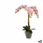   Dekor növény Orchidea Műanyag 29 x 78 x 35 cm (2 egység) MOST 41982 HELYETT 28606 Ft-ért!
