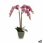   Dekor növény Orchidea Műanyag 33 x 77 x 33 cm (2 egység) MOST 41139 HELYETT 28036 Ft-ért!