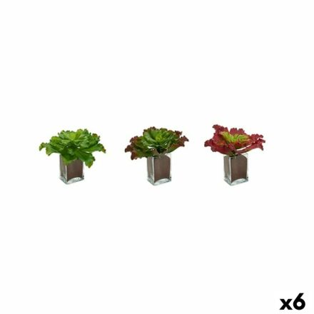 Dekor növény Ibergarden YD180208 Műanyag Ágynemű Nagy 31 x 24 x 31 cm Kétszínű (6 egység) MOST 47984 HELYETT 32699 Ft-ért!
