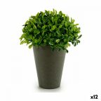   Dekor növény Műanyag 13 x 16 x 13 cm Zöld Szürke (12 egység) MOST 25887 HELYETT 16602 Ft-ért!