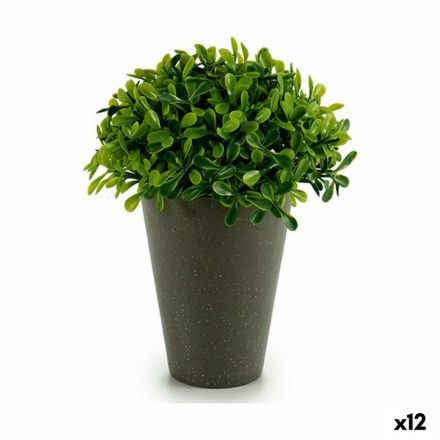Dekor növény Műanyag 13 x 16 x 13 cm Zöld Szürke (12 egység) MOST 25051 HELYETT 16064 Ft-ért!
