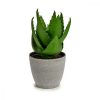 Dekor növény Aloe vera 15 x 23,5 x 15 cm Szürke Zöld Műanyag (6 egység) MOST 32291 HELYETT 20711 Ft-ért!
