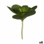   Dekor növény Ágynemű Kör Alakú Műanyag 18 x 23 x 18 cm (6 egység) MOST 22515 HELYETT 14435 Ft-ért!