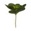 Dekor növény Ágynemű Kör Alakú Műanyag 18 x 23 x 18 cm (6 egység) MOST 22515 HELYETT 14435 Ft-ért!