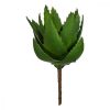Dekor növény Aloe vera 13 x 24,5 x 14 cm Zöld Műanyag (6 egység) MOST 22515 HELYETT 14435 Ft-ért!