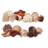 Decorative Potpourri Fehér Barna 19 x 40 x 14 cm (8 egység) MOST 42136 HELYETT 28714 Ft-ért!