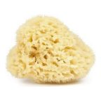 Testszivacs Davidel Baba