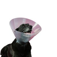   Erzsébet-kutya nyakörv (védőtölcsér) KVP Betsy (27-31 cm) MOST 4455 HELYETT 2331 Ft-ért!