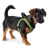 Kutyahám Hunter Hilo-Comfort Lime Méret XS (35-37 cm) MOST 16234 HELYETT 11062 Ft-ért!