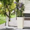 Virágcserép Lechuza 40 x 40 x 75 cm Fehér Fekete polipropilén MOST 97398 HELYETT 73293 Ft-ért!
