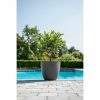 Virágcserép Garden ID Antracit 38 x 34 cm MOST 31463 HELYETT 20686 Ft-ért!