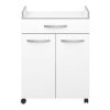 Konyhai kocsi Ekipa Harmony Fehér 60 x 44,5 x 81 cm MOST 88009 HELYETT 66233 Ft-ért!