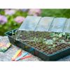 Ültető készlet Nature 11 x 35 x 23,5 cm MOST 29112 HELYETT 18668 Ft-ért!