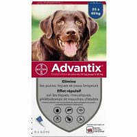   Pipetta kutyáknak Advantix 25-40 Kg MOST 58982 HELYETT 42876 Ft-ért!