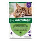   Parazitaellenes Advantage Macska Nyúl +4 Kg 4 egység 0,8 ml MOST 39886 HELYETT 26225 Ft-ért!