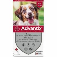   Pipetta kutyáknak Advantix 10-25 Kg MOST 46862 HELYETT 30805 Ft-ért!