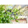 LED-es fény fűzér Super Smart Vivo 365 Nap 20 Lm MOST 45192 HELYETT 29706 Ft-ért!