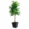 Virágcserép EDA Szürke polipropilén Műanyag 39 cm 39 x 39 x 39 cm MOST 39190 HELYETT 25762 Ft-ért!