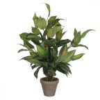   Dekor növény Mica Decorations Hosta Zöld PVC (15,5 x 65 cm) MOST 31780 HELYETT 21810 Ft-ért!