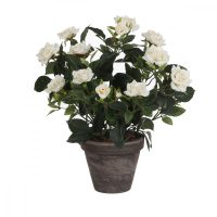   Dekor növény Mica Decorations Rosal Kerámia PVC MOST 17797 HELYETT 11988 Ft-ért!