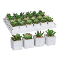   Dekor növény Mica Decorations 8 x 5 cm PVC Leveles nyövény MOST 6056 HELYETT 3621 Ft-ért!