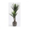 Dekor növény Mica Decorations Yucca (120 x 60 cm) MOST 55486 HELYETT 41090 Ft-ért!