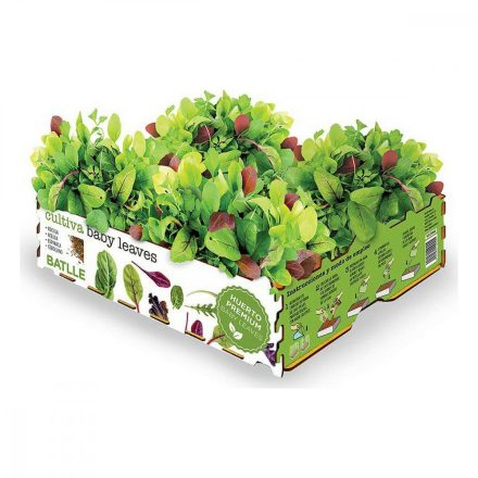 Ültető készlet Batlle Baby Leaves Saláták 40 x 29 x 10,5 cm 2,6 Kg MOST 10232 HELYETT 6126 Ft-ért!