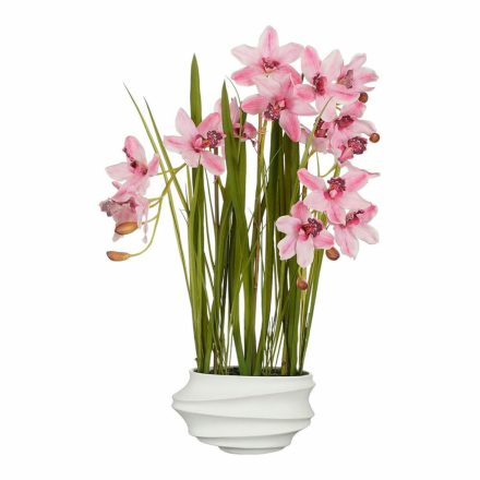 Dekor növény Mica Decorations Cymbidium Poliészter Orchidea 81 x 49 x 40 cm Mesterséges MOST 97135 HELYETT 74757 Ft-ért!