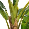 Dekor növény 103 x 95 x 200 cm Zöld PVC banán MOST 148491 HELYETT 111746 Ft-ért!