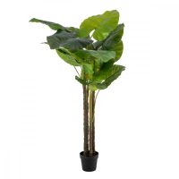   Dekor növény 75 x 60 x 155 cm Zöld Philodendro MOST 89424 HELYETT 64918 Ft-ért!