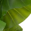 Dekor növény 75 x 60 x 155 cm Zöld Philodendro MOST 89424 HELYETT 64918 Ft-ért!