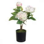   Dekor növény 24 x 20 x 38 cm Krémszín Pünkösdi rózsa MOST 13713 HELYETT 8210 Ft-ért!