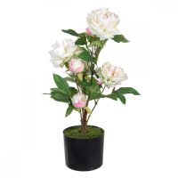   Dekor növény 34 x 30 x 59 cm Krémszín Pünkösdi rózsa MOST 27526 HELYETT 17652 Ft-ért!