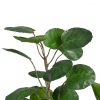 Dekor növény 80 x 77 x 113 cm Zöld PVC Aralia MOST 75997 HELYETT 55170 Ft-ért!